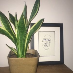 Meet your Posher, Anne